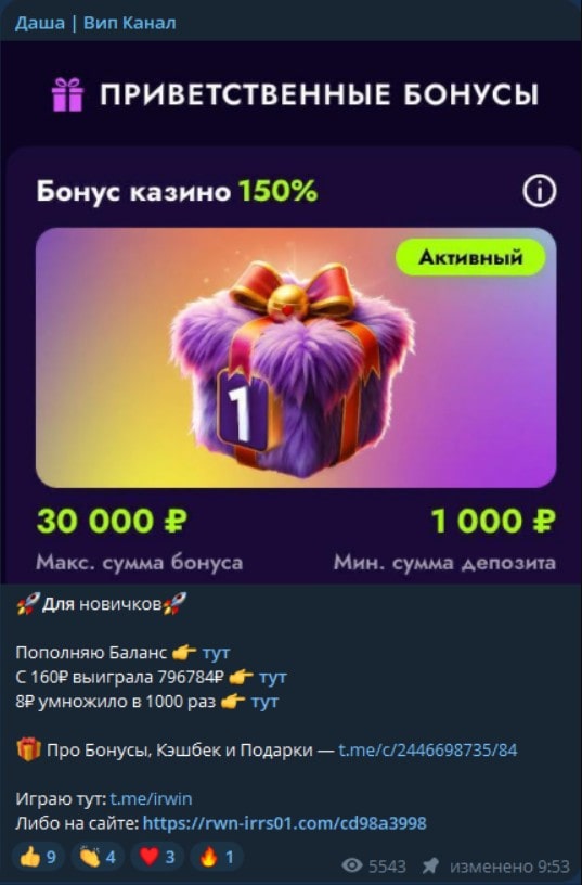 Даша Вип Канал отзывы