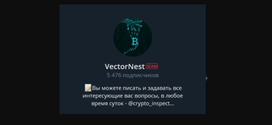 VectorNest