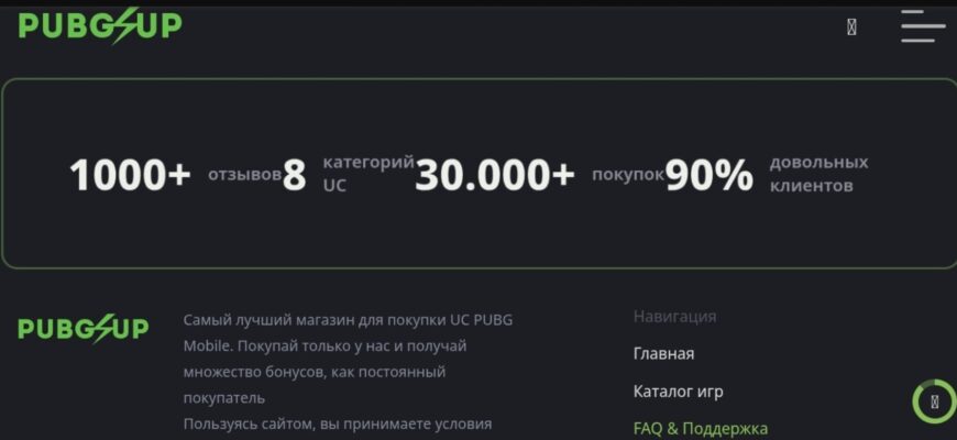 PUBG UP (pubgup.ru)